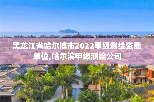 黑龙江省哈尔滨市2022甲级测绘资质单位,哈尔滨甲级测绘公司