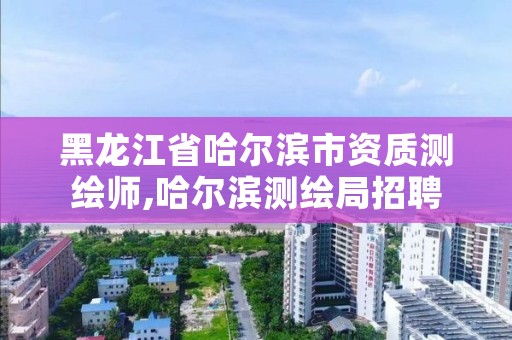 黑龙江省哈尔滨市资质测绘师,哈尔滨测绘局招聘