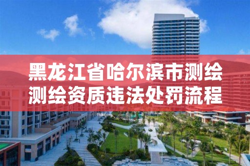 黑龙江省哈尔滨市测绘测绘资质违法处罚流程,测绘资质申报系统