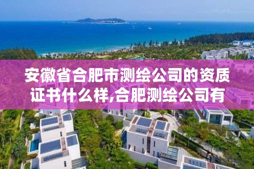 安徽省合肥市测绘公司的资质证书什么样,合肥测绘公司有哪些