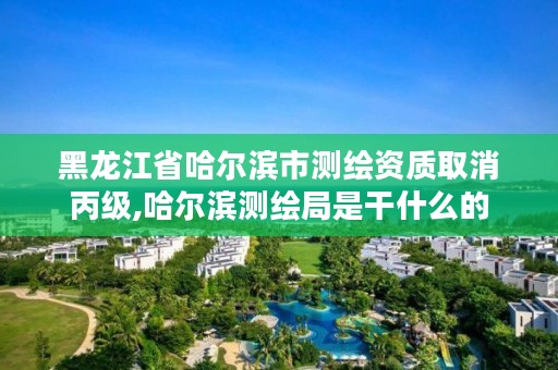 黑龙江省哈尔滨市测绘资质取消丙级,哈尔滨测绘局是干什么的