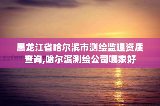 黑龙江省哈尔滨市测绘监理资质查询,哈尔滨测绘公司哪家好