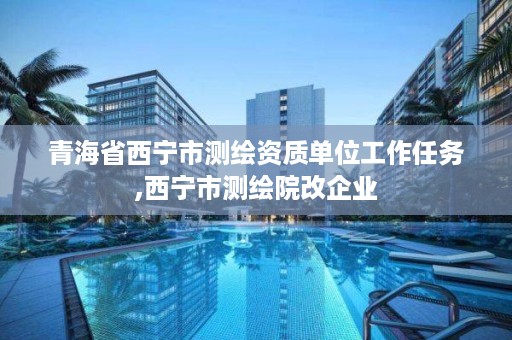 青海省西宁市测绘资质单位工作任务,西宁市测绘院改企业