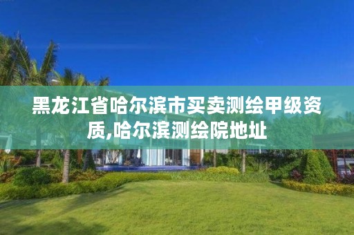 黑龙江省哈尔滨市买卖测绘甲级资质,哈尔滨测绘院地址