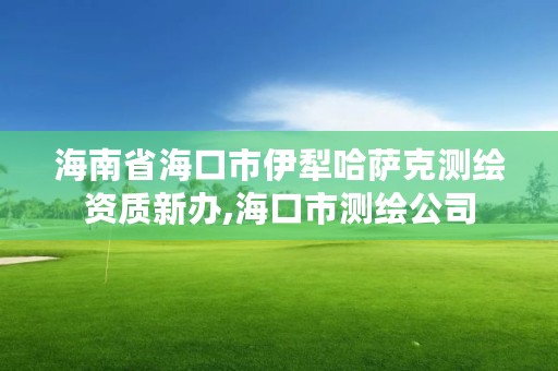 海南省海口市伊犁哈萨克测绘资质新办,海口市测绘公司