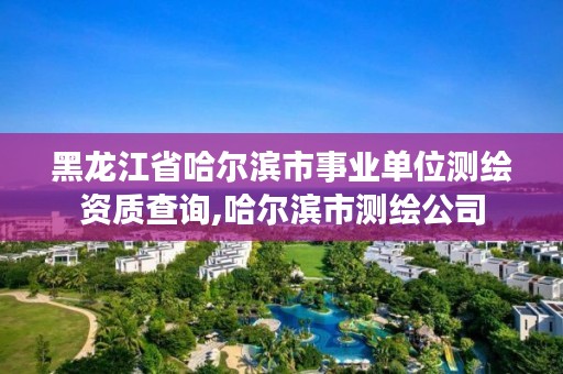 黑龙江省哈尔滨市事业单位测绘资质查询,哈尔滨市测绘公司