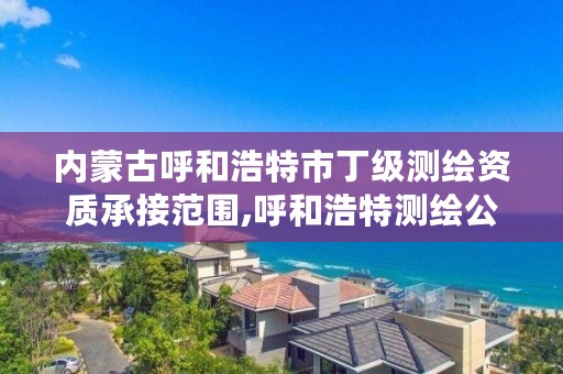 内蒙古呼和浩特市丁级测绘资质承接范围,呼和浩特测绘公司招聘