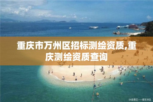 重庆市万州区招标测绘资质,重庆测绘资质查询