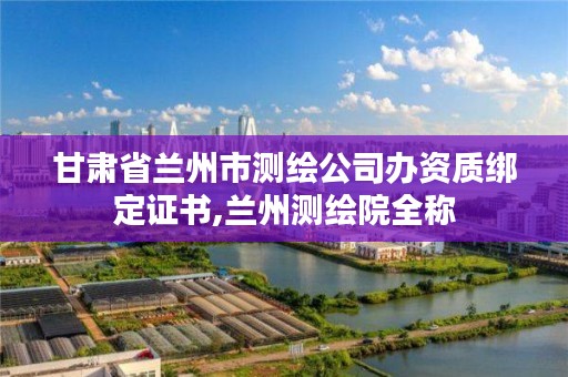 甘肃省兰州市测绘公司办资质绑定证书,兰州测绘院全称