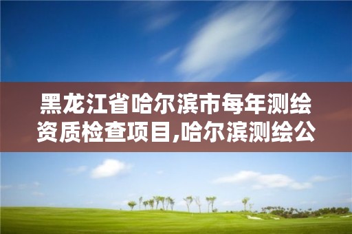 黑龙江省哈尔滨市每年测绘资质检查项目,哈尔滨测绘公司有哪些