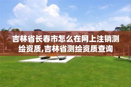 吉林省长春市怎么在网上注销测绘资质,吉林省测绘资质查询