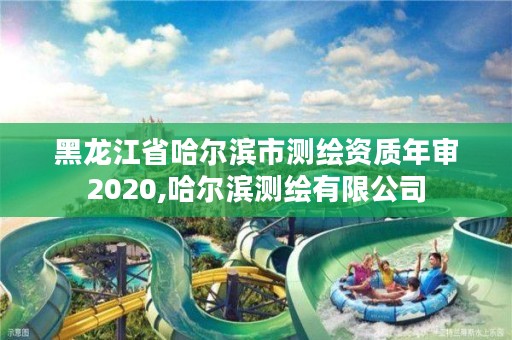 黑龙江省哈尔滨市测绘资质年审2020,哈尔滨测绘有限公司