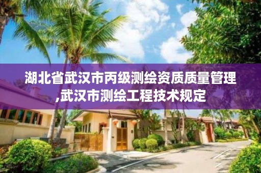 湖北省武汉市丙级测绘资质质量管理,武汉市测绘工程技术规定