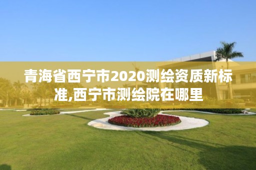 青海省西宁市2020测绘资质新标准,西宁市测绘院在哪里