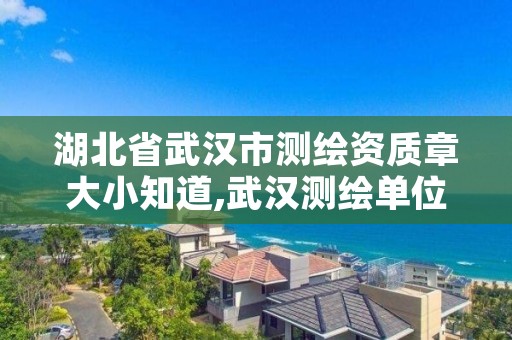 湖北省武汉市测绘资质章大小知道,武汉测绘单位