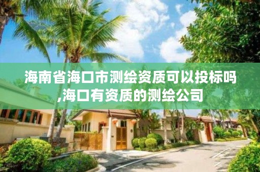 海南省海口市测绘资质可以投标吗,海口有资质的测绘公司