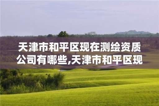 天津市和平区现在测绘资质公司有哪些,天津市和平区现在测绘资质公司有哪些