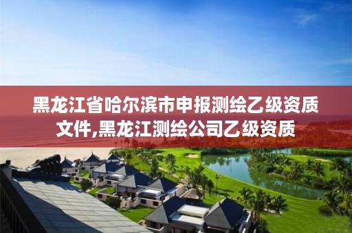 黑龙江省哈尔滨市申报测绘乙级资质文件,黑龙江测绘公司乙级资质