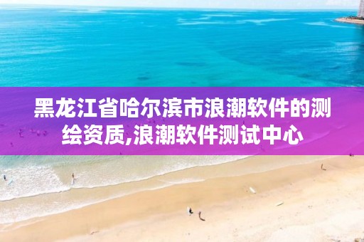 黑龙江省哈尔滨市浪潮软件的测绘资质,浪潮软件测试中心