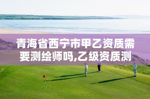 青海省西宁市甲乙资质需要测绘师吗,乙级资质测绘公司