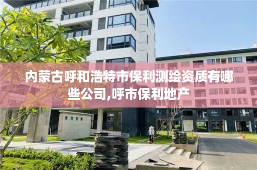 内蒙古呼和浩特市保利测绘资质有哪些公司,呼市保利地产