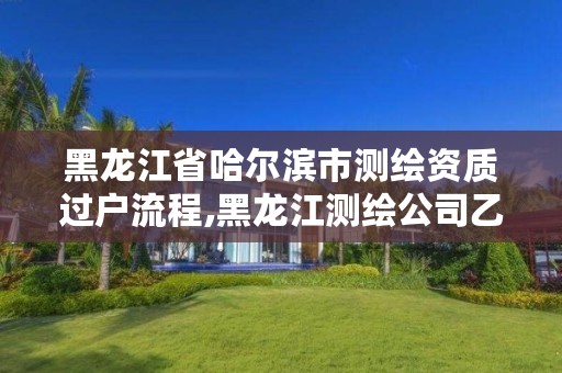 黑龙江省哈尔滨市测绘资质过户流程,黑龙江测绘公司乙级资质