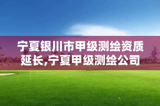 宁夏银川市甲级测绘资质延长,宁夏甲级测绘公司