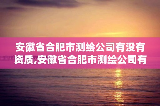 安徽省合肥市测绘公司有没有资质,安徽省合肥市测绘公司有没有资质公司