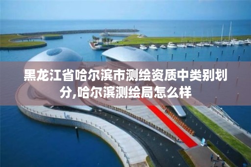 黑龙江省哈尔滨市测绘资质中类别划分,哈尔滨测绘局怎么样