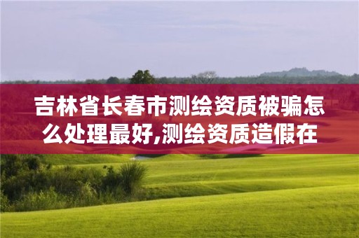 吉林省长春市测绘资质被骗怎么处理最好,测绘资质造假在哪里举报