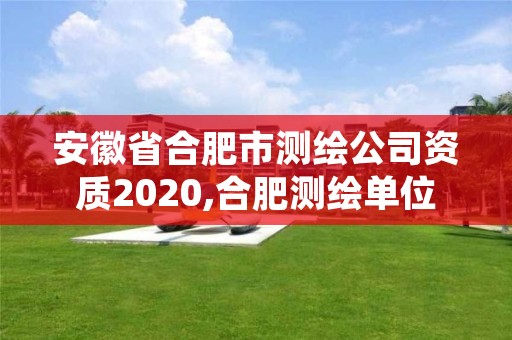 安徽省合肥市测绘公司资质2020,合肥测绘单位