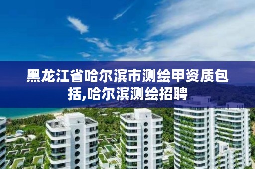 黑龙江省哈尔滨市测绘甲资质包括,哈尔滨测绘招聘