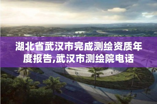 湖北省武汉市完成测绘资质年度报告,武汉市测绘院电话