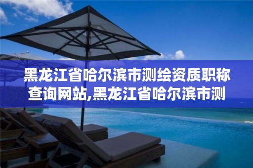 黑龙江省哈尔滨市测绘资质职称查询网站,黑龙江省哈尔滨市测绘局