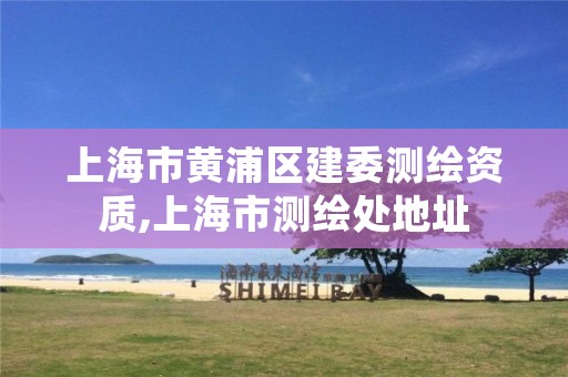 上海市黄浦区建委测绘资质,上海市测绘处地址