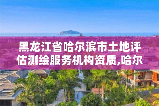 黑龙江省哈尔滨市土地评估测绘服务机构资质,哈尔滨土地评估公司