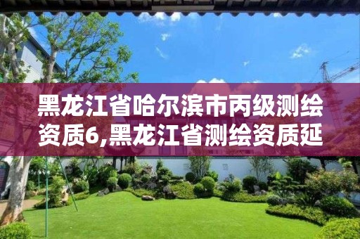 黑龙江省哈尔滨市丙级测绘资质6,黑龙江省测绘资质延期通知