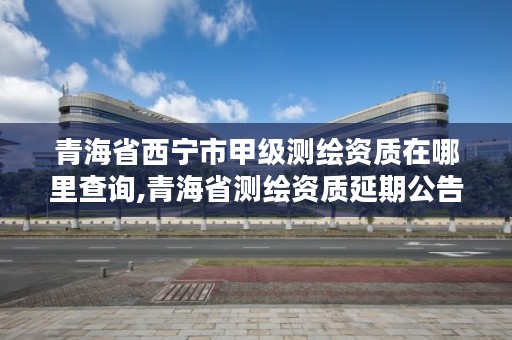 青海省西宁市甲级测绘资质在哪里查询,青海省测绘资质延期公告