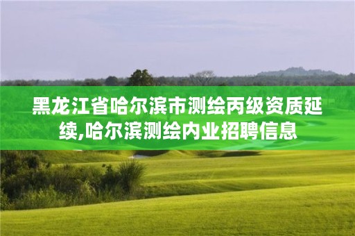 黑龙江省哈尔滨市测绘丙级资质延续,哈尔滨测绘内业招聘信息