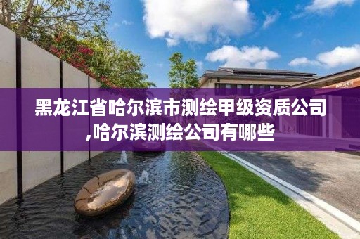 黑龙江省哈尔滨市测绘甲级资质公司,哈尔滨测绘公司有哪些