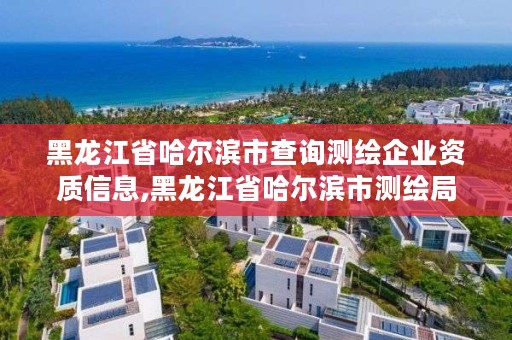 黑龙江省哈尔滨市查询测绘企业资质信息,黑龙江省哈尔滨市测绘局