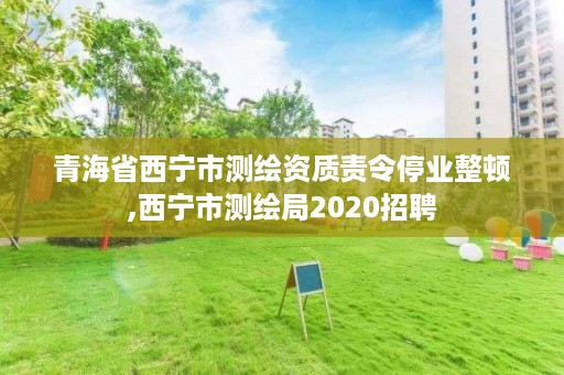 青海省西宁市测绘资质责令停业整顿,西宁市测绘局2020招聘