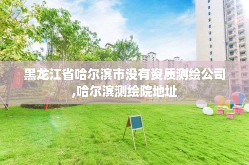 黑龙江省哈尔滨市没有资质测绘公司,哈尔滨测绘院地址