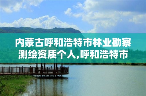 内蒙古呼和浩特市林业勘察测绘资质个人,呼和浩特市勘察测绘院