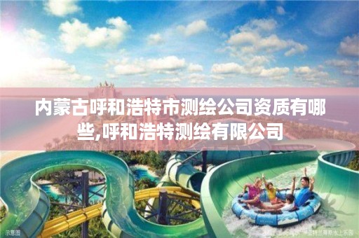 内蒙古呼和浩特市测绘公司资质有哪些,呼和浩特测绘有限公司