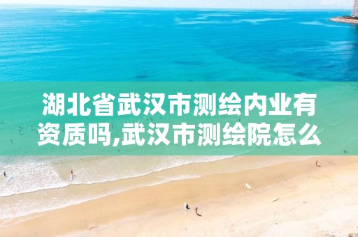 湖北省武汉市测绘内业有资质吗,武汉市测绘院怎么样