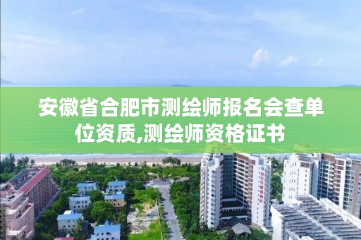 安徽省合肥市测绘师报名会查单位资质,测绘师资格证书