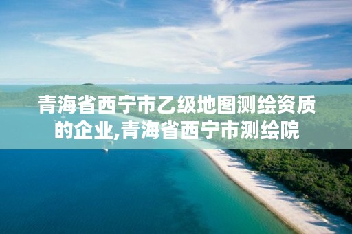 青海省西宁市乙级地图测绘资质的企业,青海省西宁市测绘院