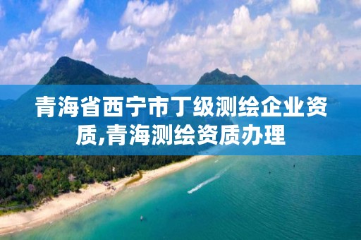 青海省西宁市丁级测绘企业资质,青海测绘资质办理