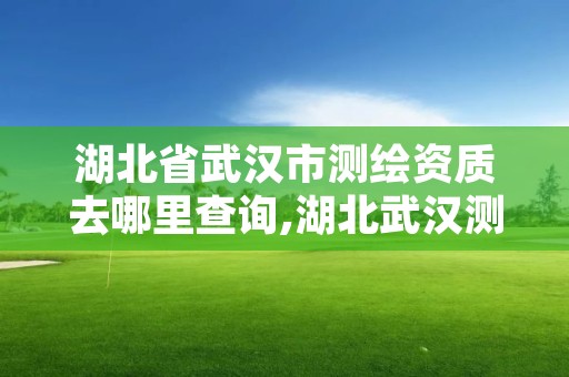 湖北省武汉市测绘资质去哪里查询,湖北武汉测绘公司排行榜